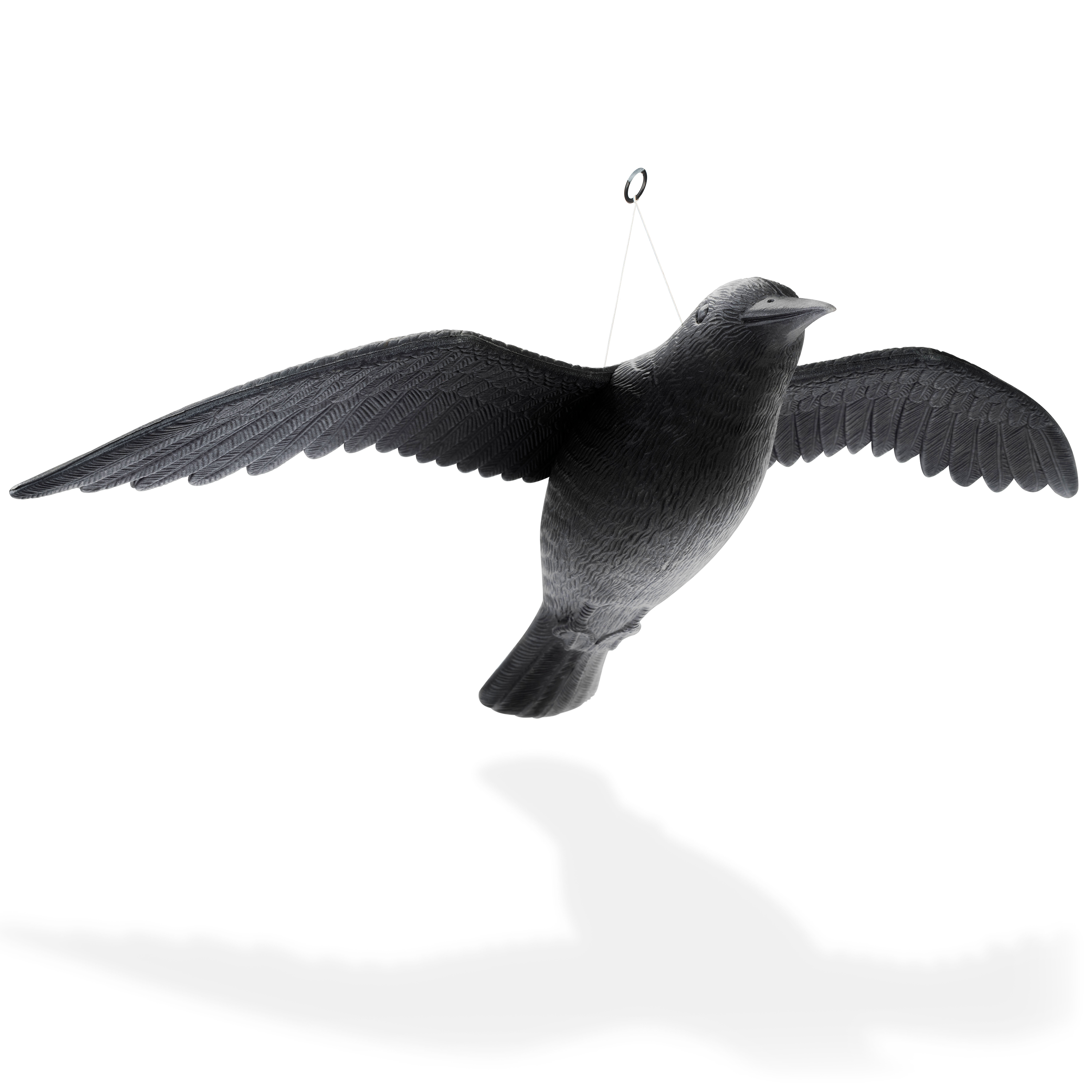 Fliegende Krähe 